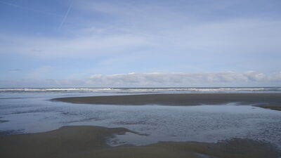 DSC04580.JPG