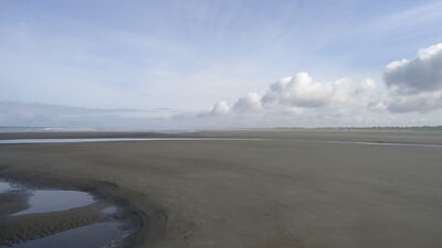 DSC04581.JPG
