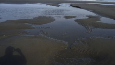 DSC04582.JPG