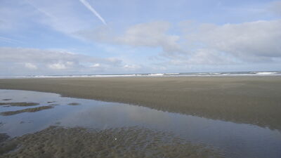 DSC04594.JPG