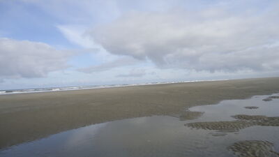 DSC04595.JPG