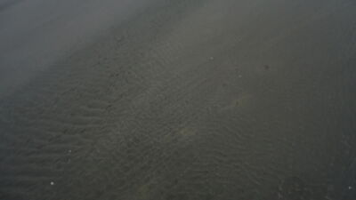 DSC04601.JPG