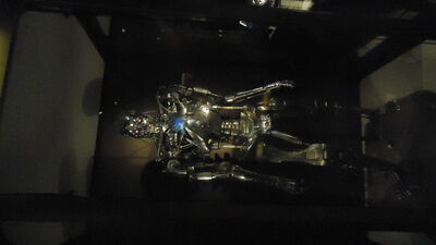 DSC04704.JPG