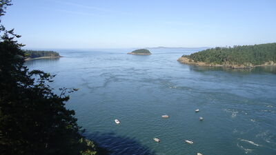 DSC04747.JPG