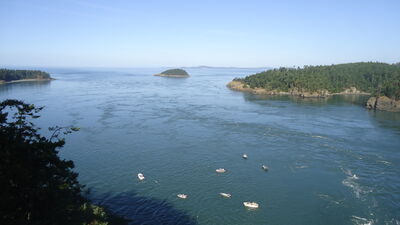 DSC04750.JPG