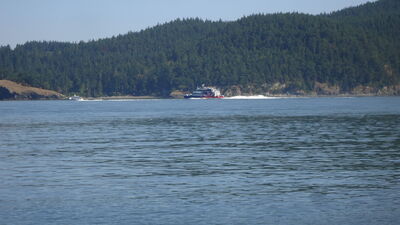 DSC04767.JPG