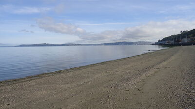 DSC04889.JPG