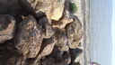 DSC03491.JPG