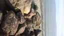 DSC03492.JPG