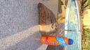 DSC03504.JPG