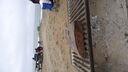 DSC03544.JPG