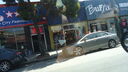 DSC03643.JPG