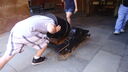 DSC03668.JPG