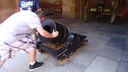 DSC03669.JPG