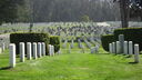 Filename=DSC03685.JPG
Filesize=371KiB
Dimensions=1080x608
Date added=Mar 26, 2024 DSC03685.JPG