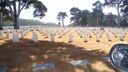 Filename=DSC03686.JPG
Filesize=348KiB
Dimensions=1080x608
Date added=Mar 26, 2024 DSC03686.JPG