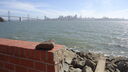 Filename=DSC03696.JPG
Filesize=303KiB
Dimensions=1080x608
Date added=Mar 26, 2024 DSC03696.JPG