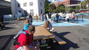 DSC03708.JPG