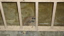Filename=DSC03749.JPG
Filesize=311KiB
Dimensions=1080x608
Date added=Mar 26, 2024 DSC03749.JPG