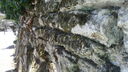 DSC03821.JPG