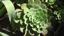 DSC03826.JPG