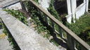 DSC03838.JPG