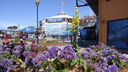 Filename=DSC03891.JPG
Filesize=384KiB
Dimensions=1080x608
Date added=Mar 26, 2024 DSC03891.JPG