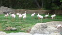 DSC03938.JPG