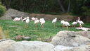 DSC03939.JPG