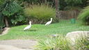 DSC03940.JPG