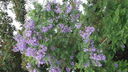 DSC03941.JPG