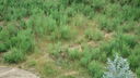 DSC03942.JPG