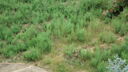 DSC03943.JPG