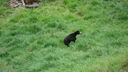 DSC03944.JPG
