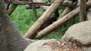 DSC03946.JPG
