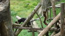 DSC03947.JPG