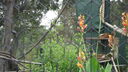 DSC03948.JPG