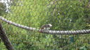 DSC03949.JPG