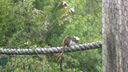 DSC03950.JPG