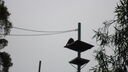 DSC03952.JPG
