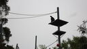 DSC03953.JPG