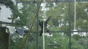 DSC03954.JPG