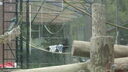 DSC03955.JPG