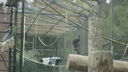 DSC03956.JPG