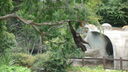 DSC03957.JPG