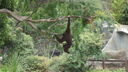 DSC03959.JPG