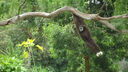 DSC03960.JPG