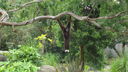 DSC03961.JPG