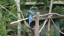 DSC03962.JPG