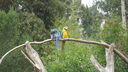 DSC03963.JPG